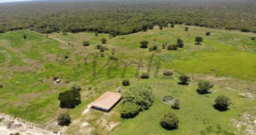 Fazenda à venda na Rural, 1000, Centro, Serra Dourada