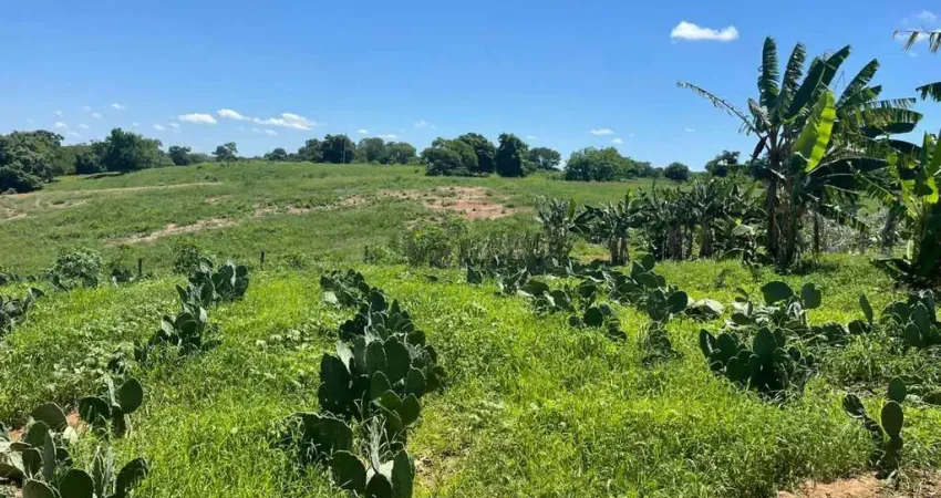Fazenda à venda na Avenida Anchieta, 827, Centro, Campinas