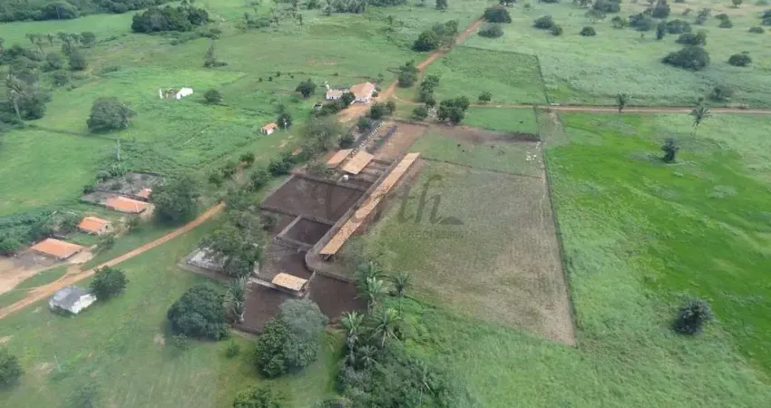 Fazenda à venda na Rural, 1000, Centro, Aroazes