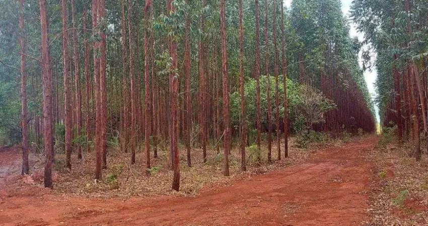Fazenda à venda na Rural, 1000, Centro, Lassance