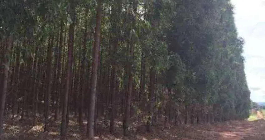 Fazenda à venda na Rural, 1000, Centro, Bonito de Minas