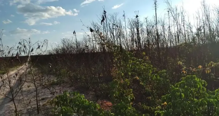 Fazenda à venda na Rural, 1000, Centro, Pilão Arcado