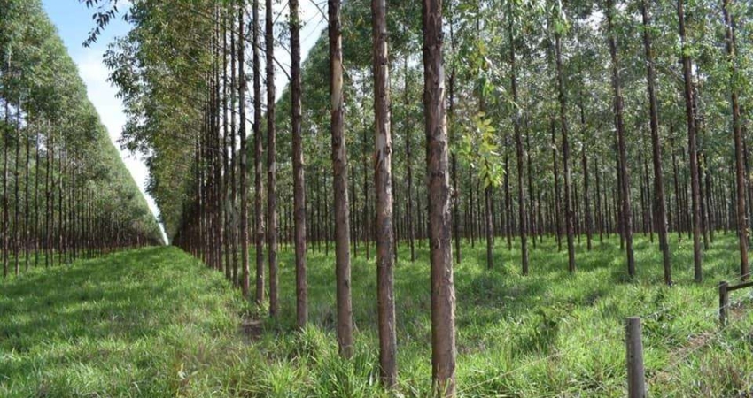 Fazenda à venda na Rua Coronel Levindo Augusto Pereira 60, 1000, Centro, Curvelo