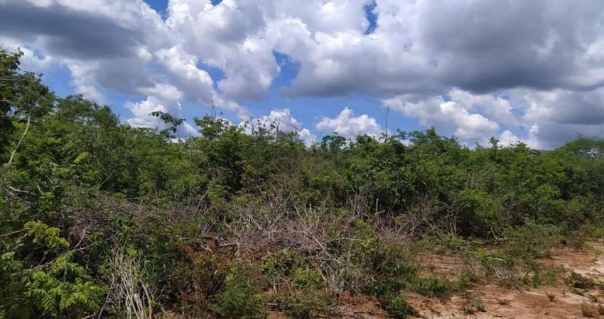 Fazenda à venda na Rural, 1000, Centro, Cocos