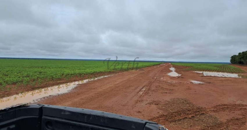 Fazenda à venda na Avenida Tancredo Neves 1200, 1000, Centro, Nova Ubiratã