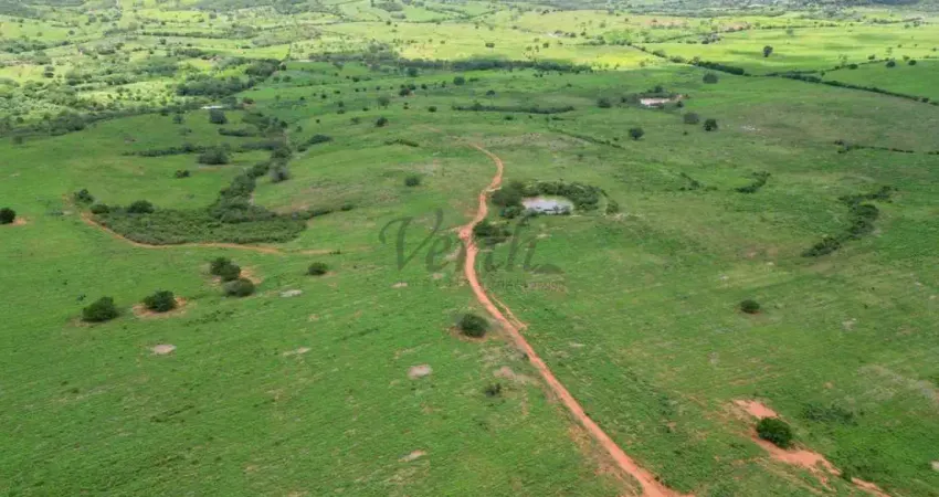 Fazenda à venda na Rua Duque de Caxias, 352, 1000, Centro, Jeremoabo