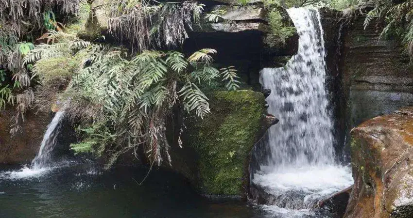 Fazenda à venda na Rua Orlando Ferreira, 263, 1000, Centro, Carrancas
