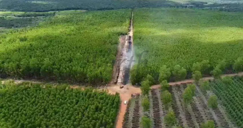 Fazenda à venda na Prefeito João Herculino de Souza, 1000, Centro, Sete Lagoas