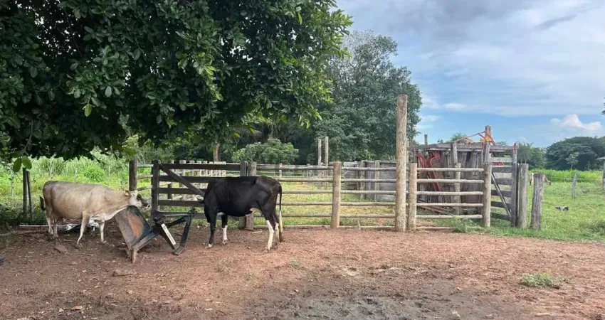 Fazenda à venda na Rua Barão do Rio Branco 110, 1000, Centro, Rio Verde de Mato Grosso