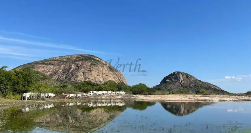 Fazenda à venda na Rua Rui Barbosa 294, 294, Centro, Iaçu