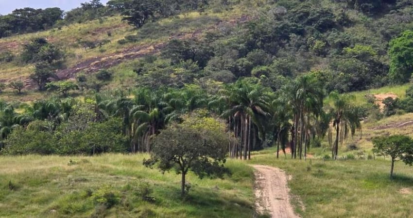 Fazenda à venda na Avenida João Júlio de Faria, Centro, Boa Esperança
