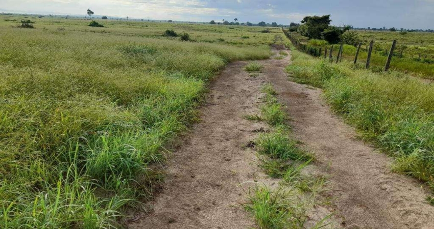 Fazenda à venda na RURAL, 100, Centro, Carinhanha