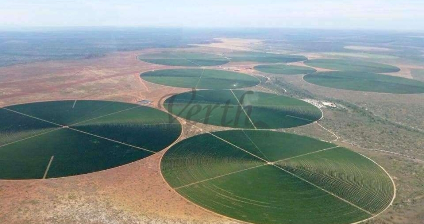 Fazenda à venda na Avenida Manoel Joaquim de Melo 996, 1000, Centro, Buritizeiro