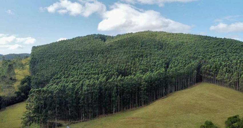 Fazenda à venda na Avenida Santa Catarina 919, 1000, Centro, Imbituba