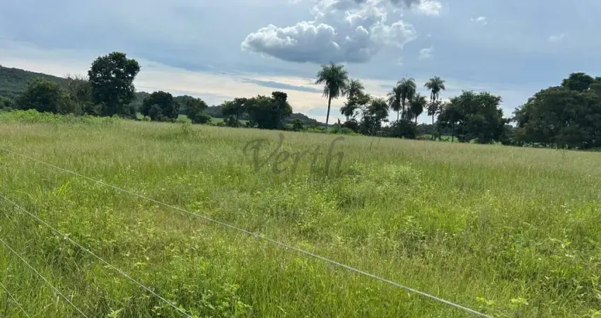 Fazenda à venda na Rua Barão do Rio Branco 110, 110000, Centro, Rio Verde de Mato Grosso