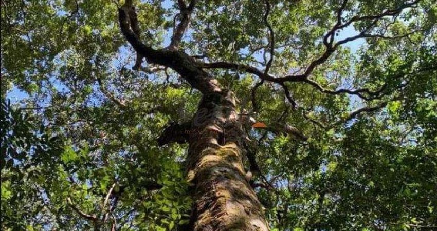 Fazenda à venda na Brasil, Sn, Compensa, Manaus