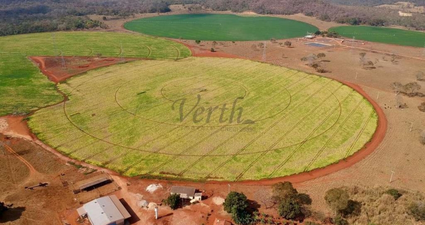 Fazenda à venda na Adelina Andrade Porto, 1000, Flamboyant, Paracatu