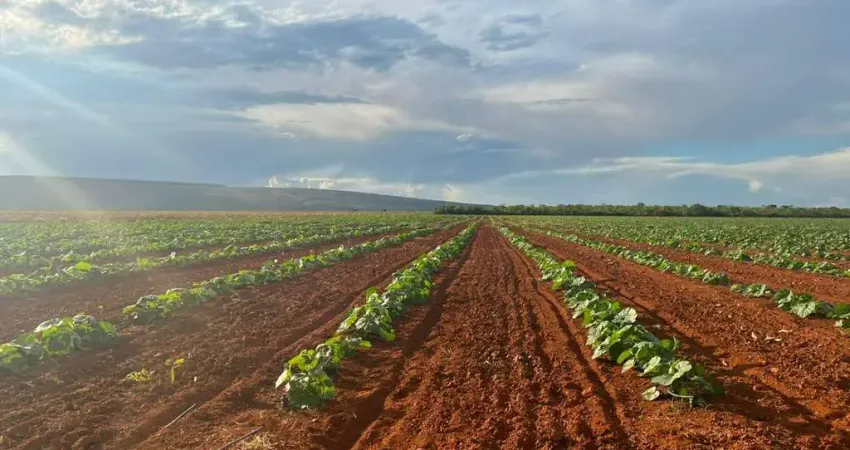 Fazenda à venda na A, 00, Fátima, Sete Lagoas