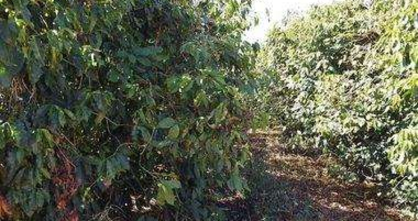 Fazenda à venda na da Pedra, 200, Itapuã, Unaí