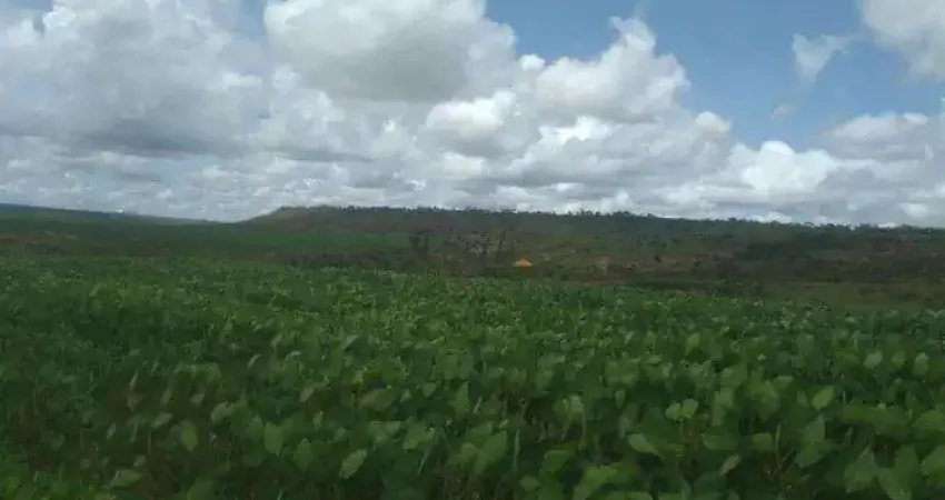 Fazenda à venda na Maestro João Luiz do Espírito Santo, Sn, Jardim Califórnia, Formosa