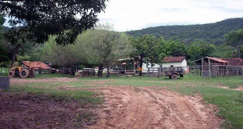 Fazenda à venda na Unaí, Sn, Mamoeiro, Unaí