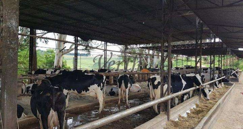 Fazenda à venda na Unaí, 1000, Mamoeiro, Unaí