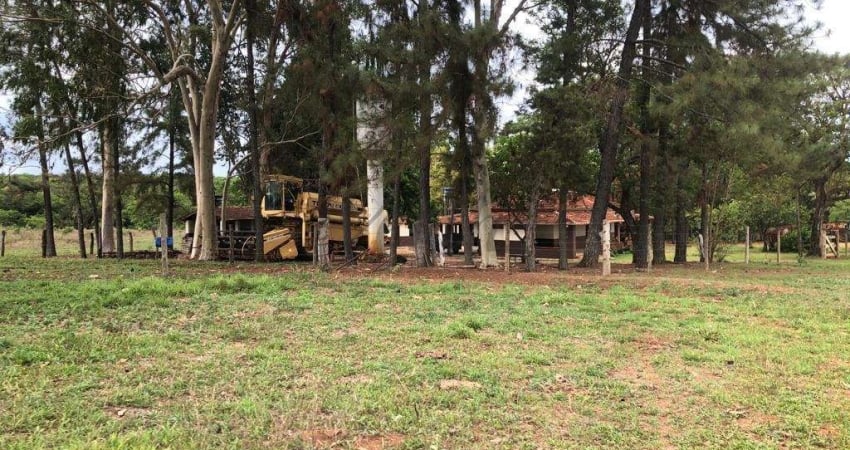 Fazenda à venda na Unaí, 1000, Mamoeiro, Unaí