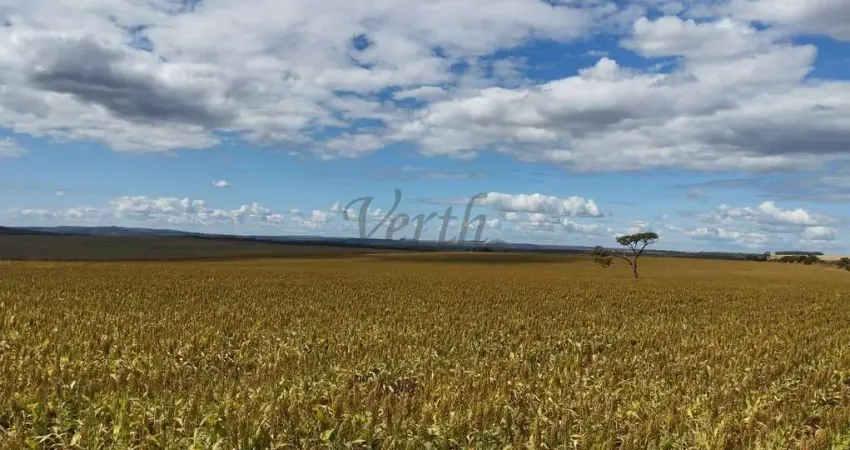 Fazenda à venda na Boa Ventura, 2000, Parque Lago, Formosa