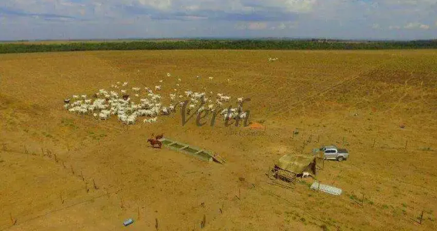 Fazenda à venda na Rural, 1232, Setor Central, Guaraí