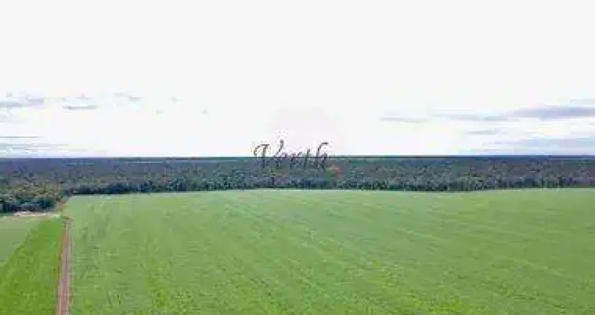 Fazenda à venda na Governador Júlio Campos, 100, Setor Comercial, Sinop