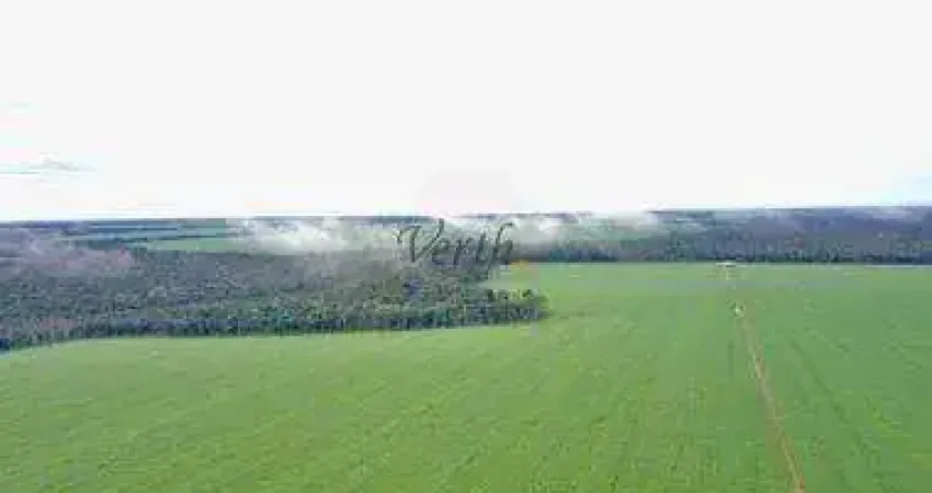 Fazenda à venda na Governador Júlio Campos, 150, Setor Comercial, Sinop