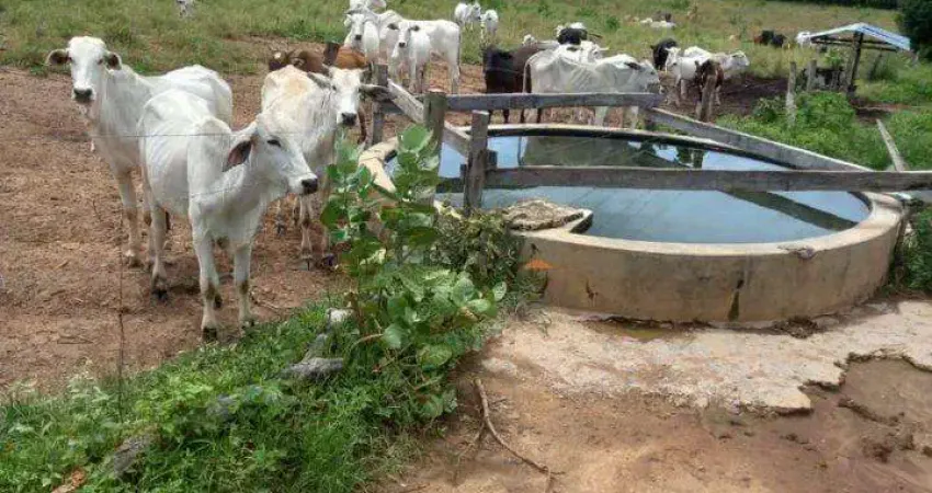 Fazenda à venda na Manoel Athaide, Sn, São Gonçalo, Janaúba