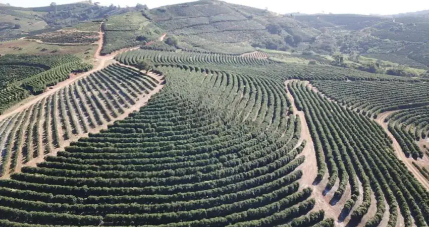 Fazenda à venda na Praça Coronel Gustavo Ribeiro, 63, 1000, Centro, Caconde