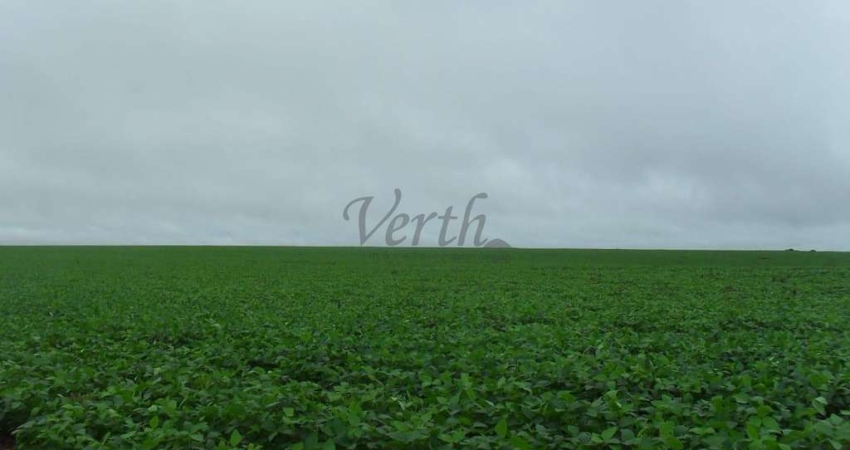 Fazenda à venda na Virgílio Justiniano Ribeiro, 1000, Centro, Unaí