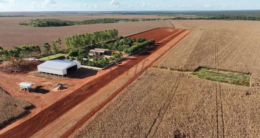 Fazenda à venda na Avenida Comendador José Pedro Dias 920 E, 1000, Centro, Tabaporã
