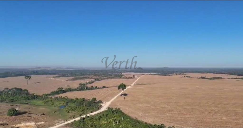 Fazenda à venda na Rua Quinze de Novembro 297, 1000, Santa Luzia, Novo Progresso