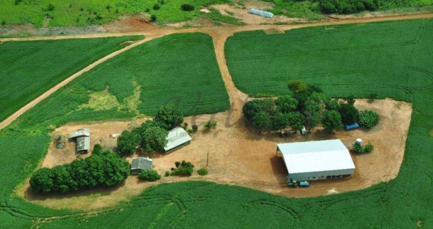 Fazenda à venda na Avenida Ferrucio, s/n, 100, Água Limpa, Nova Ubiratã
