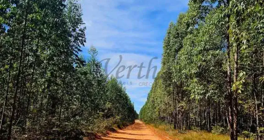 Fazenda à venda na Rua PEDRO PETINGA, Centro, Divisópolis