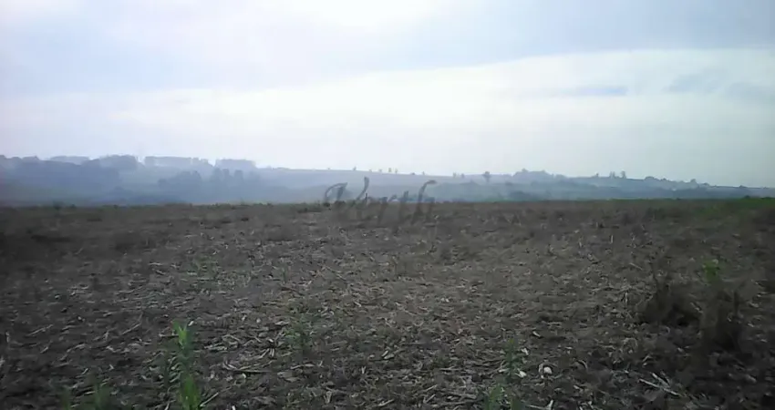 Terreno comercial à venda na Estância Árvore da Vida, 1000, Chácara Cruzeiro do Sul, Sumaré
