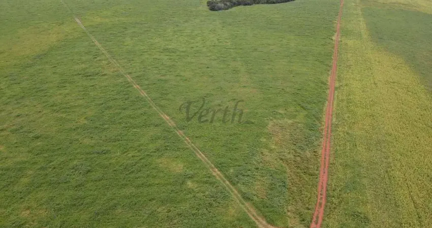 Fazenda à venda na Travessa B, 100, Centro, Novo São Joaquim