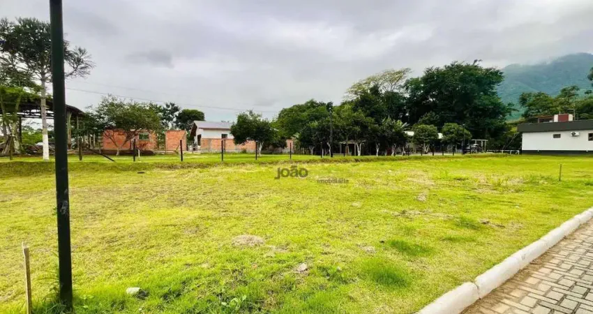 Terreno à venda, 206 m² - Guarda do Cubatão - Palhoça/SC