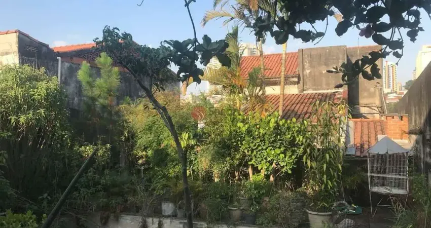 Terreno à venda na Rua Ararendá, 143, Jardim Têxtil, São Paulo