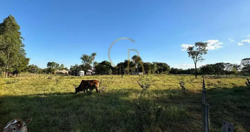 O CAMPO ESTÁ CHAMANDO: TERRENO DE 1 HECTARE PRONTO PARA SUA CHÁCARA!
