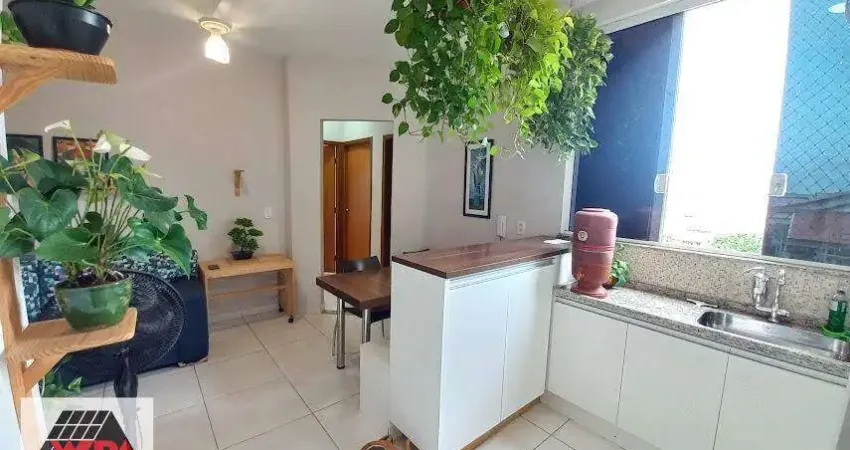 Apartamento à venda, 3 quartos, 1 suíte, 1 vaga, Parque Novo Mundo - Americana/SP