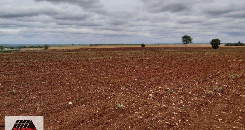 Terreno à venda, Área Rural de Nova Odessa - Nova Odessa/SP