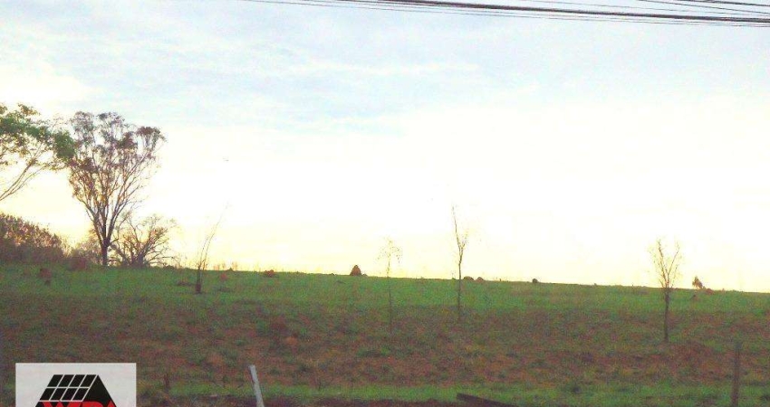 Terreno à venda na Vila Israel, Americana 