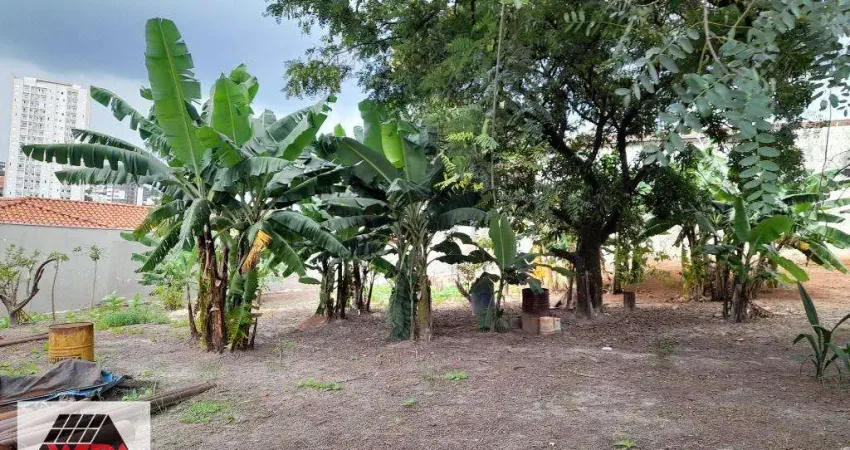 Terreno comercial para alugar no Centro, Americana 