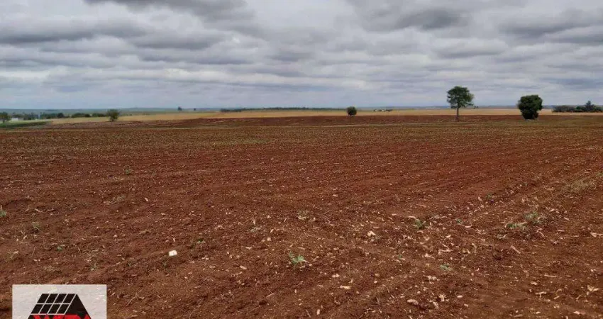 Terreno à venda na Área Rural de Nova Odessa, Nova Odessa 