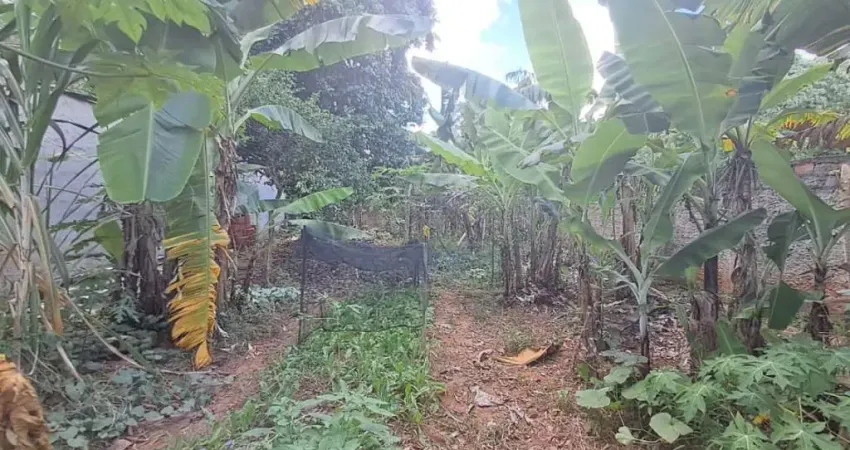 Terreno à venda na Vila Mathiesen, Americana