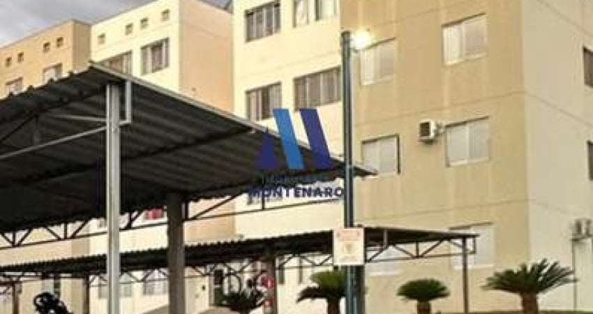 Apartamento à venda no bairro Residencial Macedo Teles I - São José do Rio Preto/SP